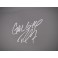 RICH FRONING Hand Signed HUGE  16'x20' Photo + EXACT Photo Proof of Signing