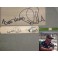 Ricky Ponting Hand Signed Full Size Cricket Bat + Photo Proof