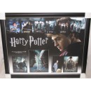 HARRY POTTER  Daniel Radcliffe &  Ralpf Fiennes Hand Signed & Framed Photo