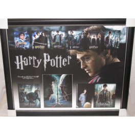 HARRY POTTER Daniel Radcliffe & Ralpf Fiennes Hand Signed & Framed Photo HARRY POTTER Daniel Radcliffe & Ralpf Fiennes Hand Signed & Framed Photo