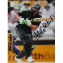 Adam Gilchrist Hand Signed 8" x 10" Colour Photo3