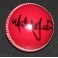 Mitchell Johnson Hand Signed Cricket Ball