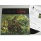 LIVE x 4 Hand Signed 'Throwing Copper' LP + PSA BECKETT COA