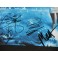MUSE x 3  BELLAMY HOWARD WOLSTENHOLME   Hand Signed LP + PSA BECKETT COA