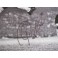 PELE  Hand Signed HUGE 16'x20' Photo  + PSA DNA COA