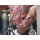 Quinton 'Rampage' Jackson Hand Signed 8" x 10" Colour Photo 3 + Photo Proof