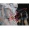 BILL SKARSGARD 'IT' Pennywise  Hand Signed 11" x 14" Photo + PSA/DNA BECKETT COA