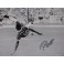 PELE  Hand Signed HUGE 16'x20' Photo  + PSA DNA COA