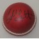 Glenn McGrath Hand Signed Cricket Ball