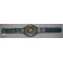 Floyd 'Money' Mayweather  Hand Signed WBC Fullsize Belt  PSA  BAS