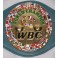 Floyd 'Money' Mayweather  Hand Signed WBC Fullsize Belt  PSA  BAS