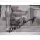 ARNOLD SCHWARZENEGGER Hand Signed 16"x20" Terminator Photo + JSA COA *BUY GENUINE*