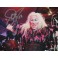 Twisted Sister Dee Snider Hand Signed 8"x10" Photo + PSA DNA COA
