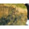 Jason Day Hand Signed 11" x 14" Colour Photo + PSA/DNA