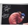 JWP 'CONTENDER' Hand Signed 8" x 12" Colour Photo 6