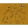 2010 Socceroos Team Signed  Australia Jersey World Cup 2010