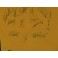 2010 Socceroos Team Signed  Australia Jersey World Cup 2010