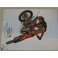 CHAD REED Hand Signed 11"x14" Photo 2 + Photo Proof