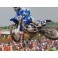Chad Reed Hand Signed 8"x10"  Photo 2 + BECKETT COA  * Buy Genuine  Chad Reed *
