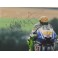 VALENTINO ROSSI Hand Signed 20" x 30" Lab Quality Photo  Plus JSA COA