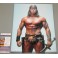 ARNOLD SCHWARZENEGGER Hand Signed 11"x14" Conan Photo + JSA COA *BUY GENUINE*